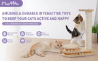 Kitten using indoor scratching board and ball track toy
