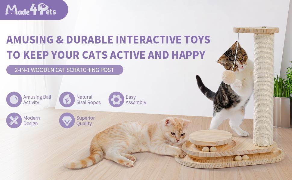 Kitten using indoor scratching board and ball track toy