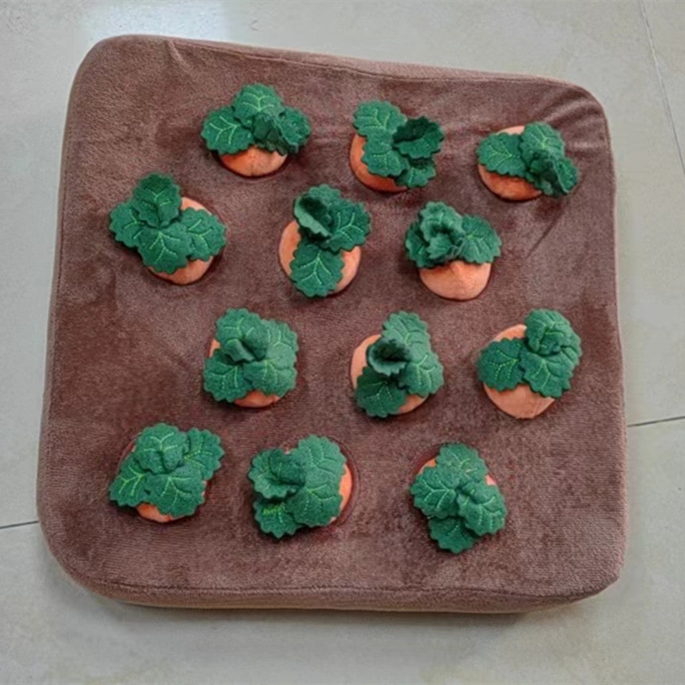 Close-up of carrot dog toy plush material