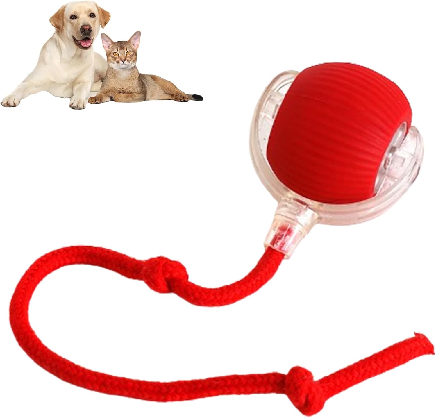 Red pet toy with a rope and ball, featuring a dog and cat on a white background.