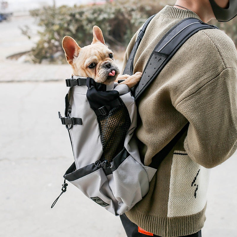 Portable dog carrier backpack with double shoulder straps