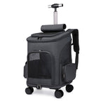 Black pet carrier with wheels on a white background