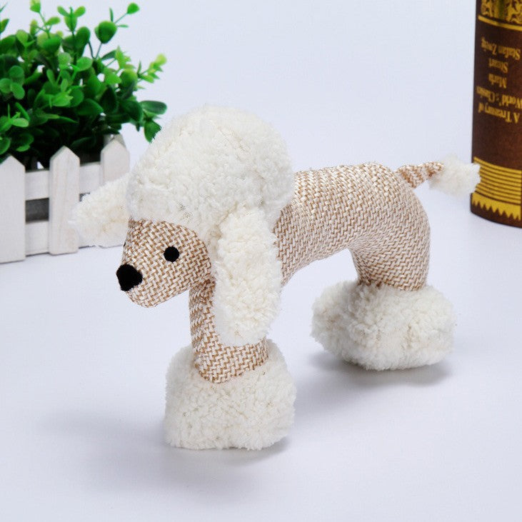 Toy poodle with white fur and brown body on a light background
