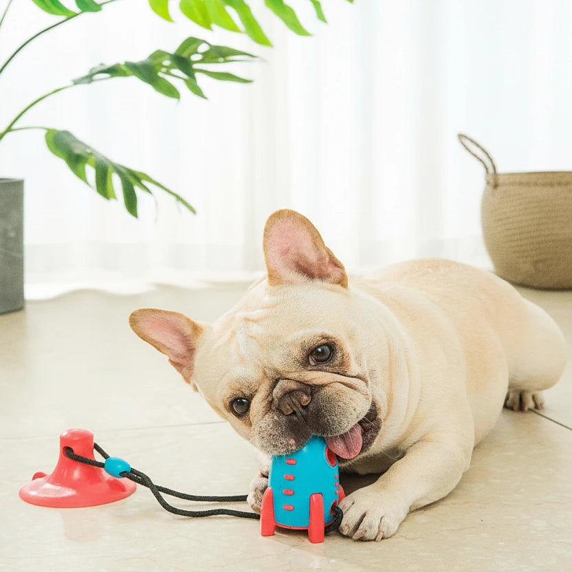 Bite resistant dog toy for mental stimulation