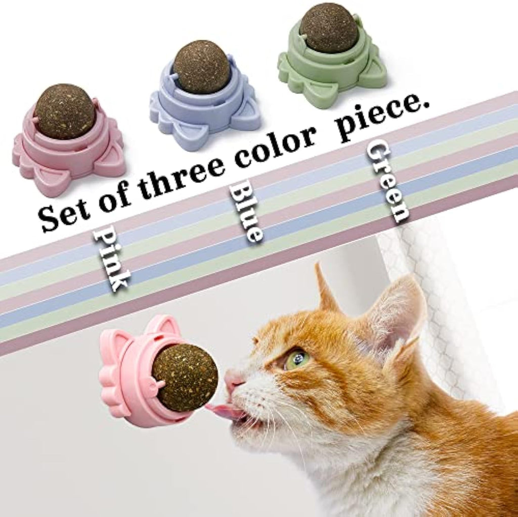 Interactive catnip ball toy for indoor cats