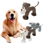 Dog fetching and chewing a duck toy