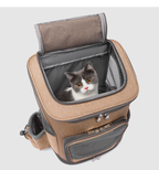 Pet carrier with a cat inside on a light gray background