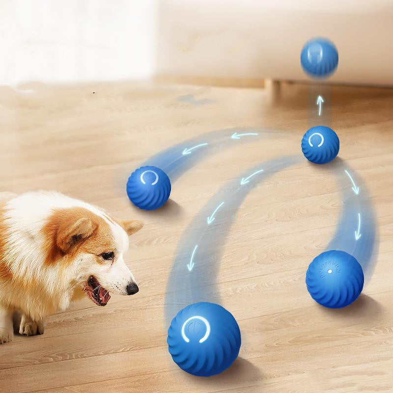 Dog playing with a blue ball on a wooden floor