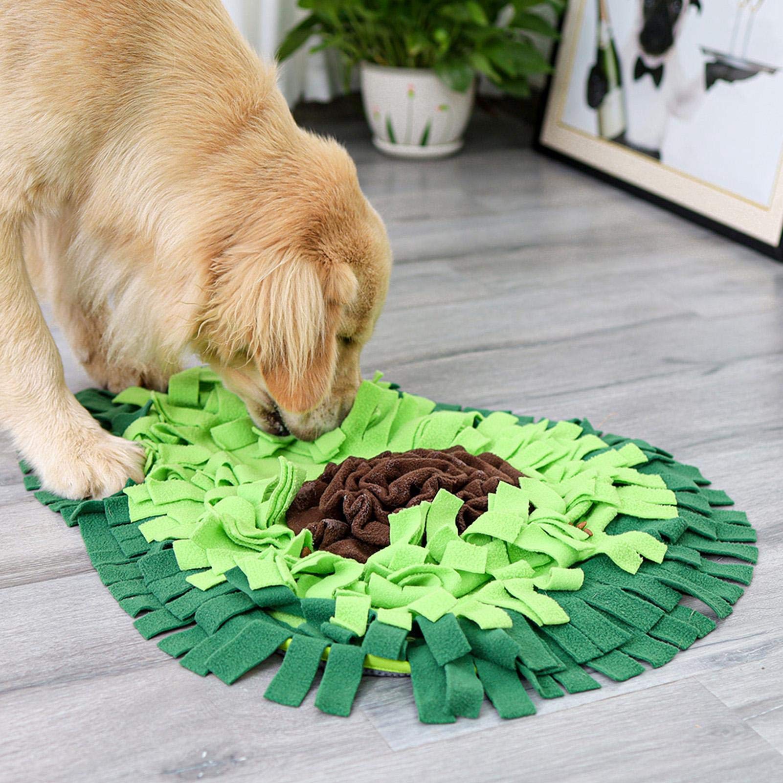 dog enrichment mat for indoor boredom