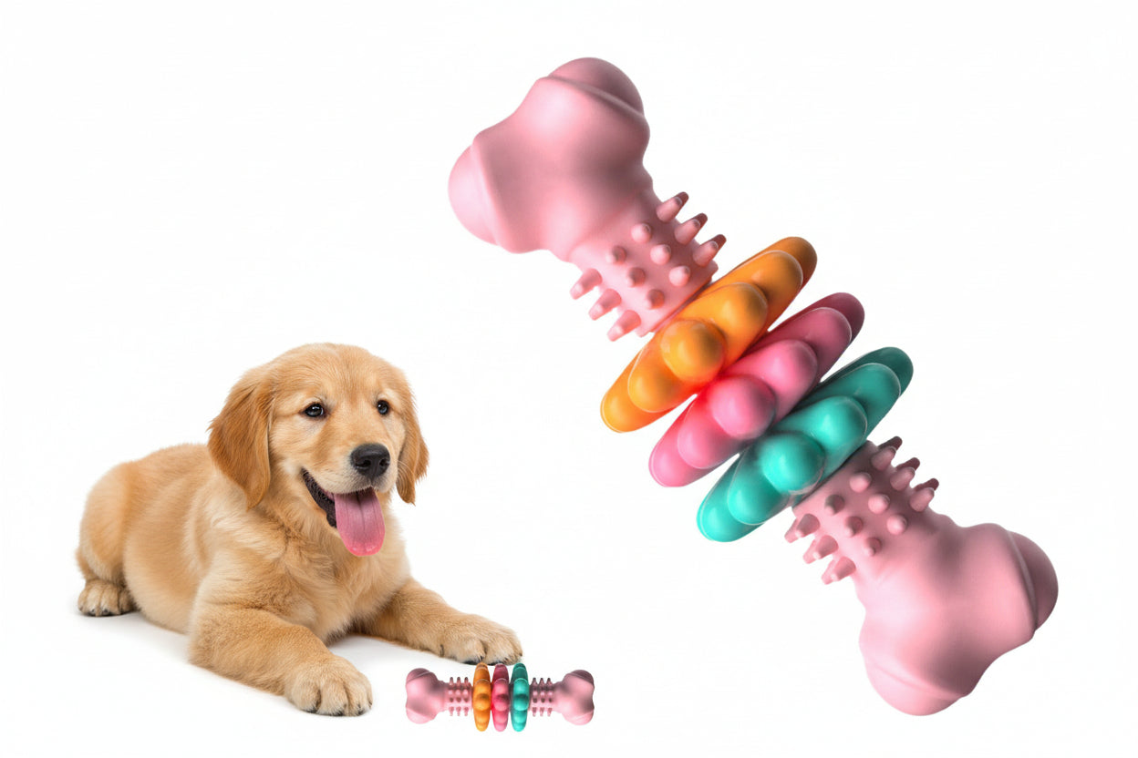 Colorful dog toys with a dog lying next to them on a white background