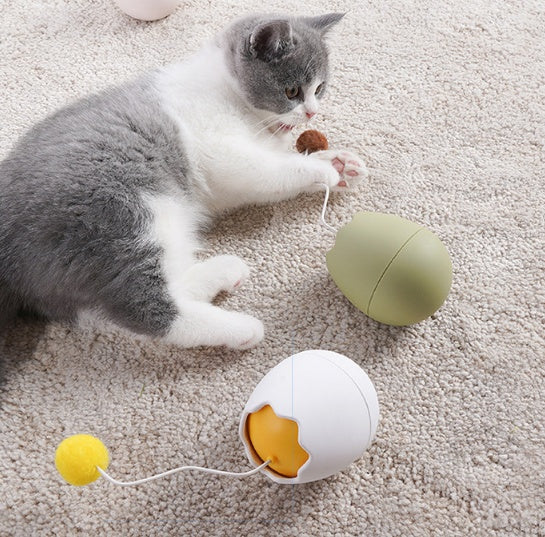 Indoor cat enrichment toy for self play