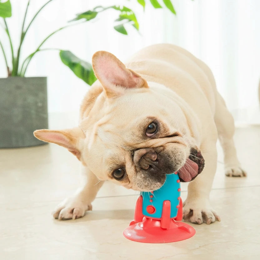 Food leaking dog toy for active play