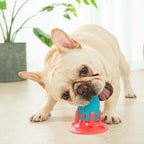 Food leaking dog toy for active play