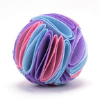 interactive dog puzzle toy with treats