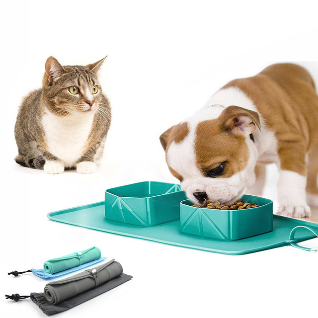Collapsible silicone pet travel bowl for dogs and cats