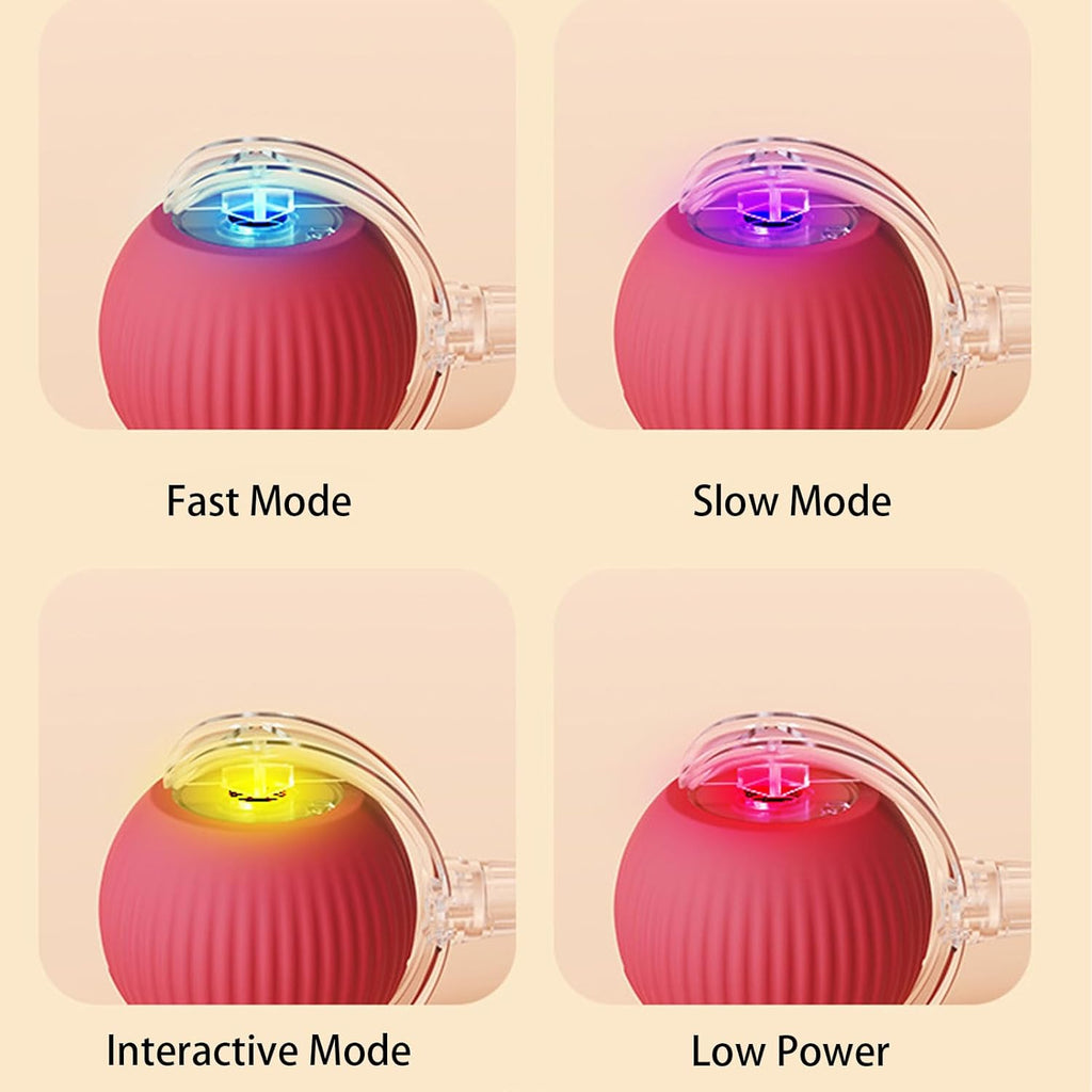 Interactive dog ball toy with automatic rolling motion