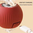 Automatic rolling pet ball toy for indoor play