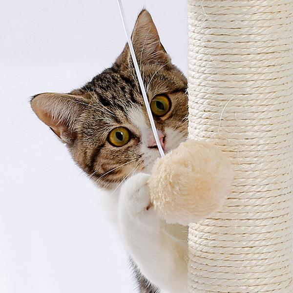 Interactive ball track toy for indoor cats