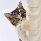 Interactive ball track toy for indoor cats