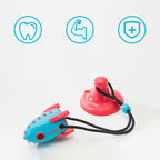 Interactive dog chew toy with treat dispenser