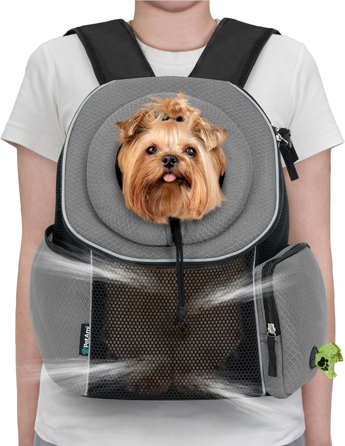 Rear view of dog carrier backpack showing back panel design