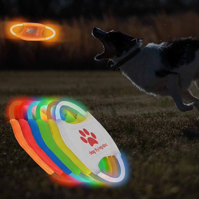 glowing interactive dog toy for outdoor fetch