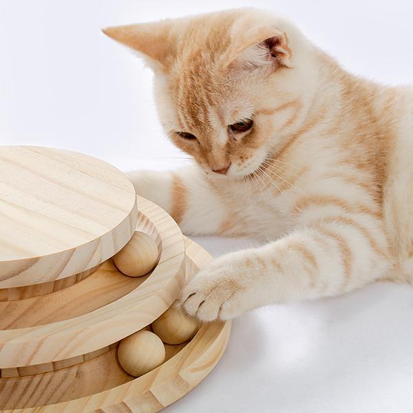 Cat playing with interactive ball track on scratching board