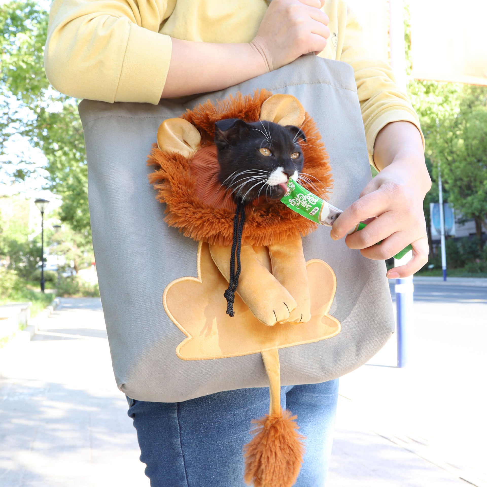 cute lion pet carrier for small dogs and cats