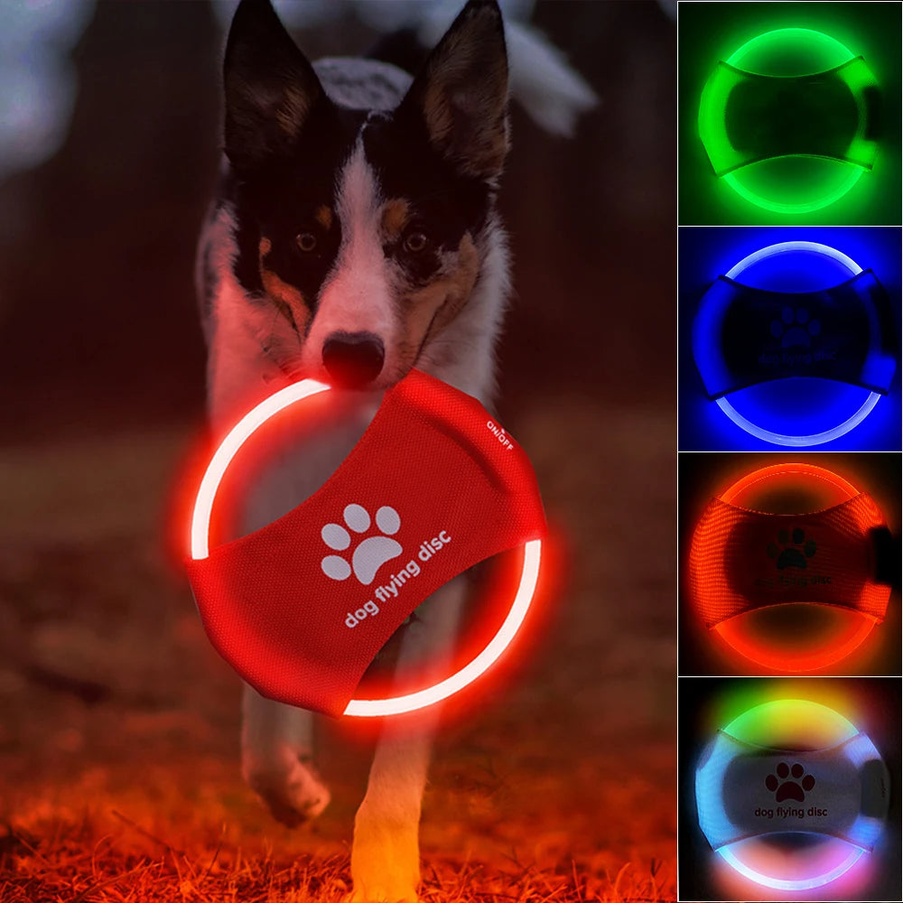 LED light up dog flying disc for night play