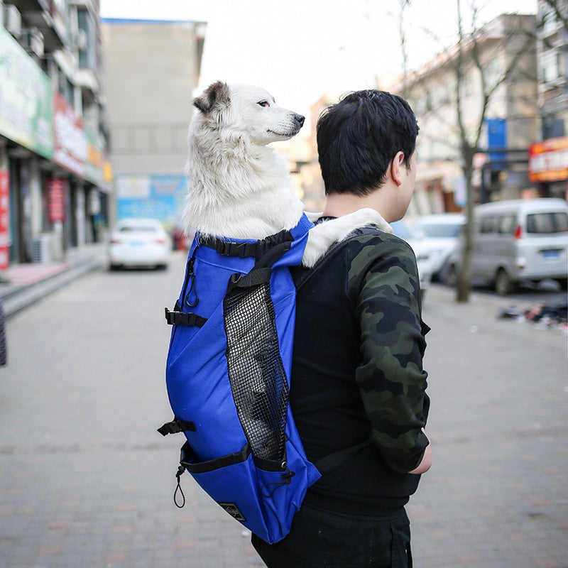 Dog carrier backpack used for outdoor walking and travel