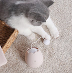 Best cat toy for cats home alone