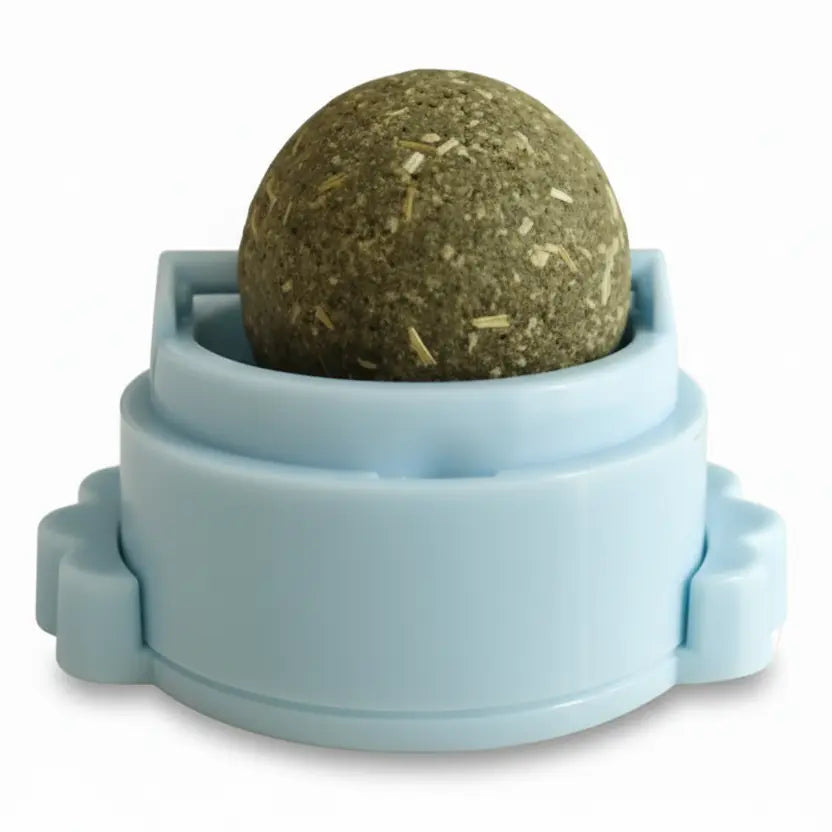 Rotating catnip wall ball toy close up detail