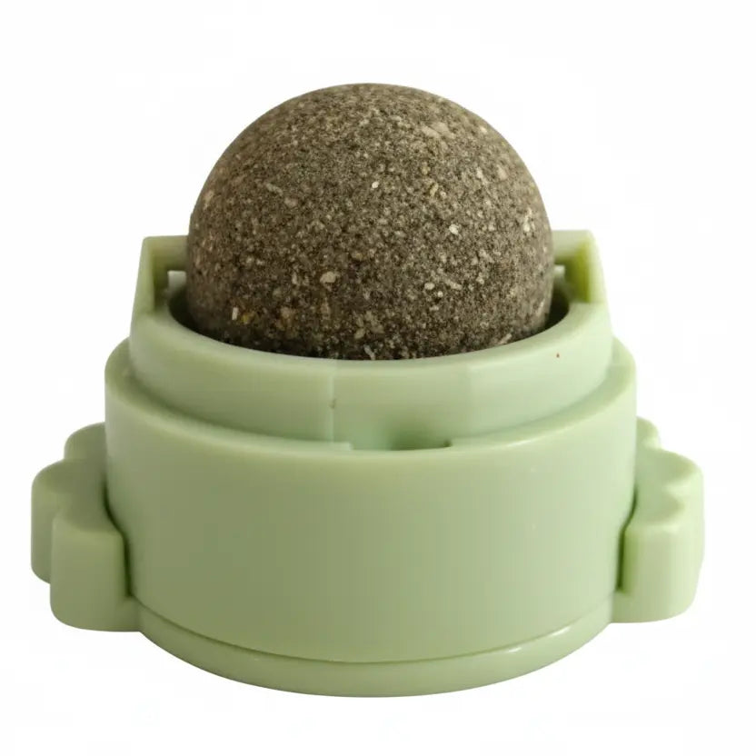 Catnip wall ball toy showing ball with catnip inside