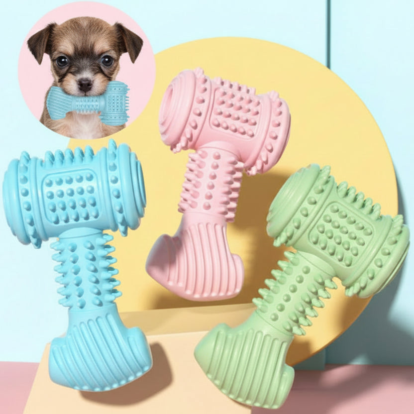 TPR dog chew toy displayed on neutral background