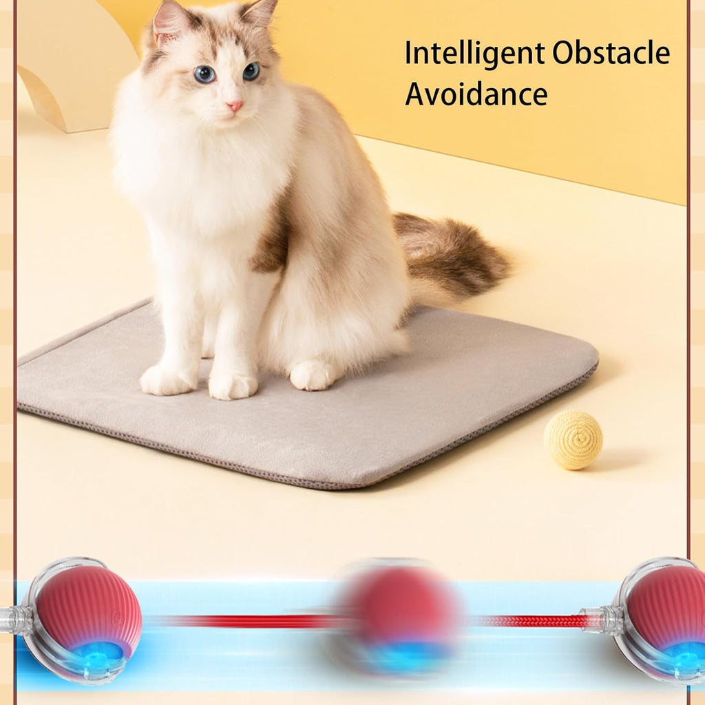 Interactive cat ball toy with smart motion movement