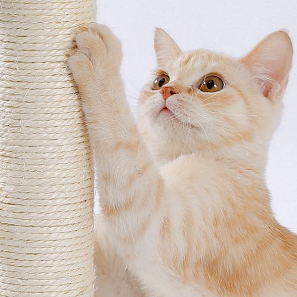 Scratching board surface and ball track toy for cats