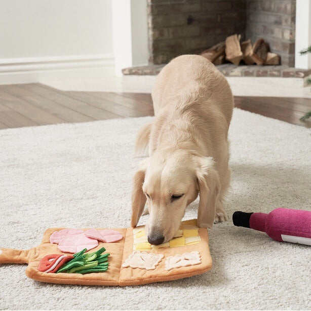 Dog using an educational snuffle mat to sniff and find hidden treats