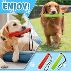 Dog fetching a floating water toy in pool or lake
