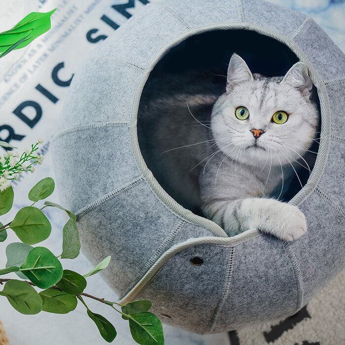 Interactive cat tunnel with built-in ball for play