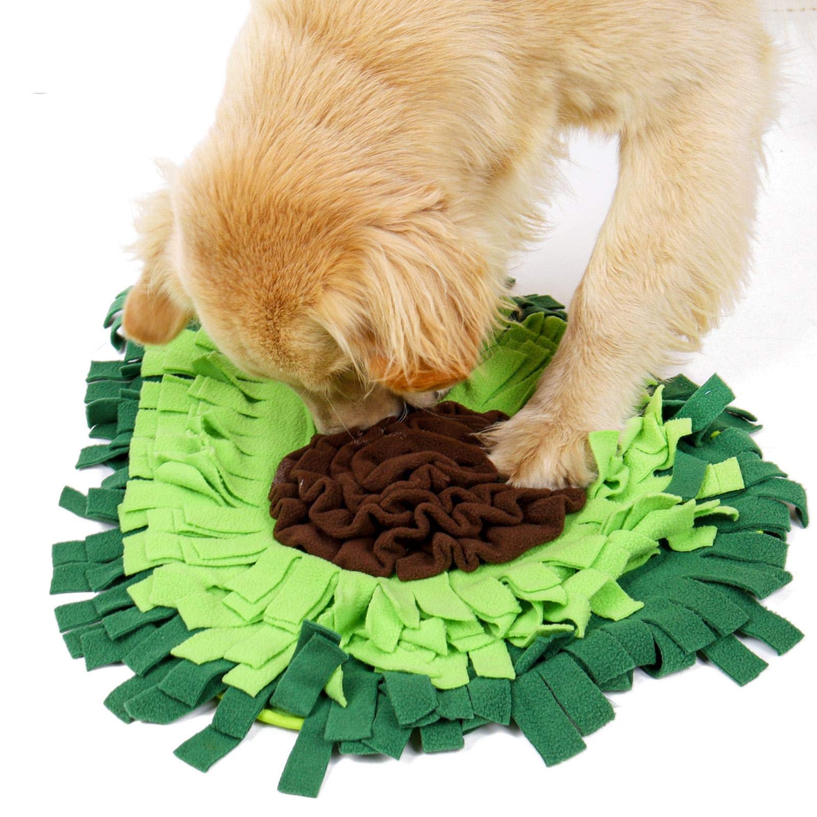 dog puzzle feeding mat for training