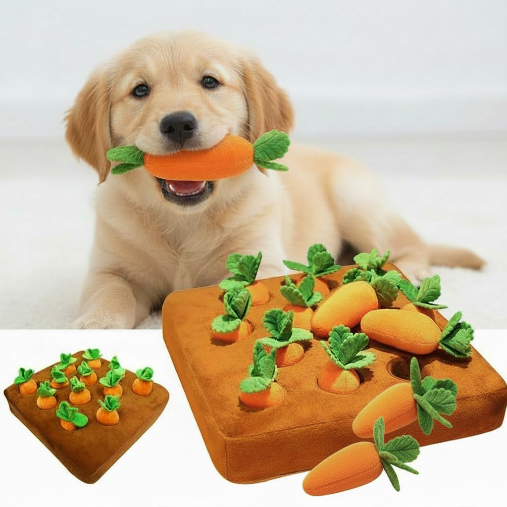 Soft fabric carrot dog toy for pets