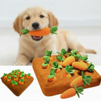 Soft fabric carrot dog toy for pets