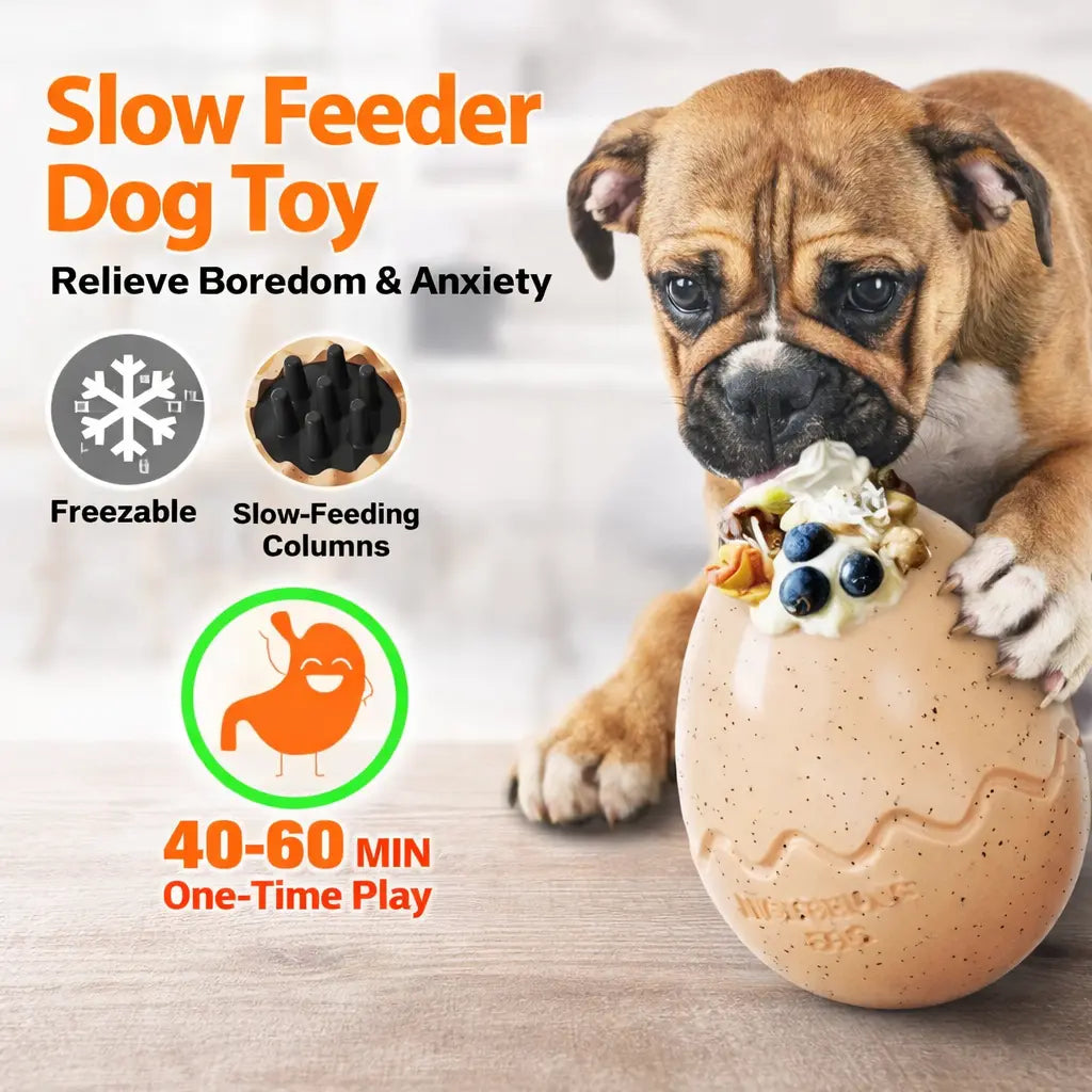 dog puzzle enrichment toy