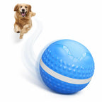 smart interactive rolling dog ball