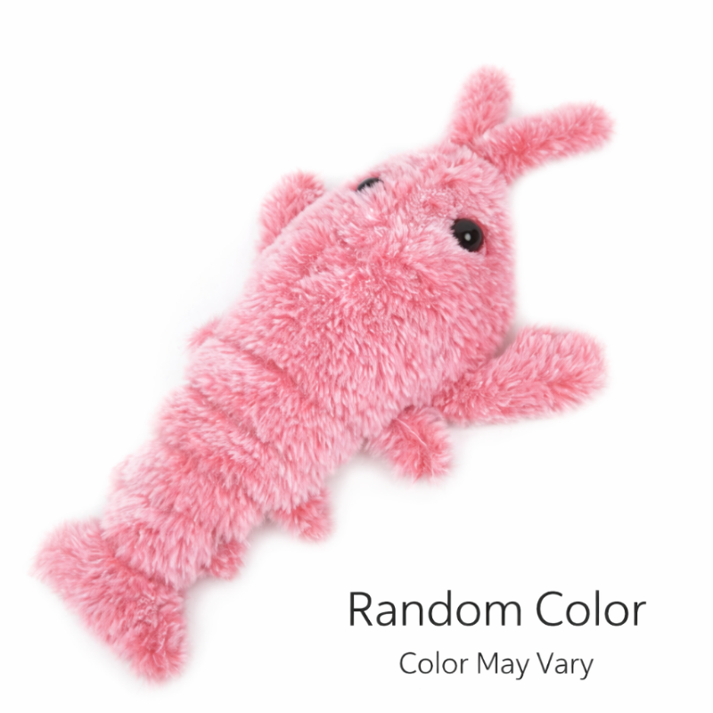 Best interactive toy for indoor cats home alone