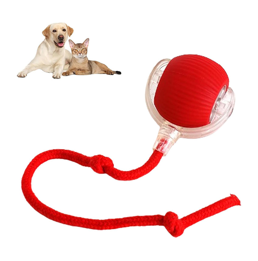 Rolling pet ball toy for dogs and cats on white background