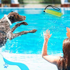 Lightweight TPR floating dog toy for outdoor play