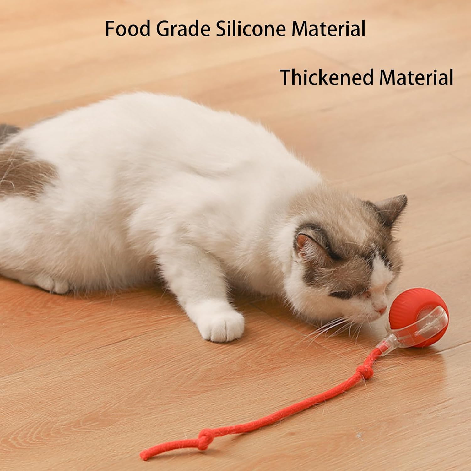 Interactive pet toy designed for independent play