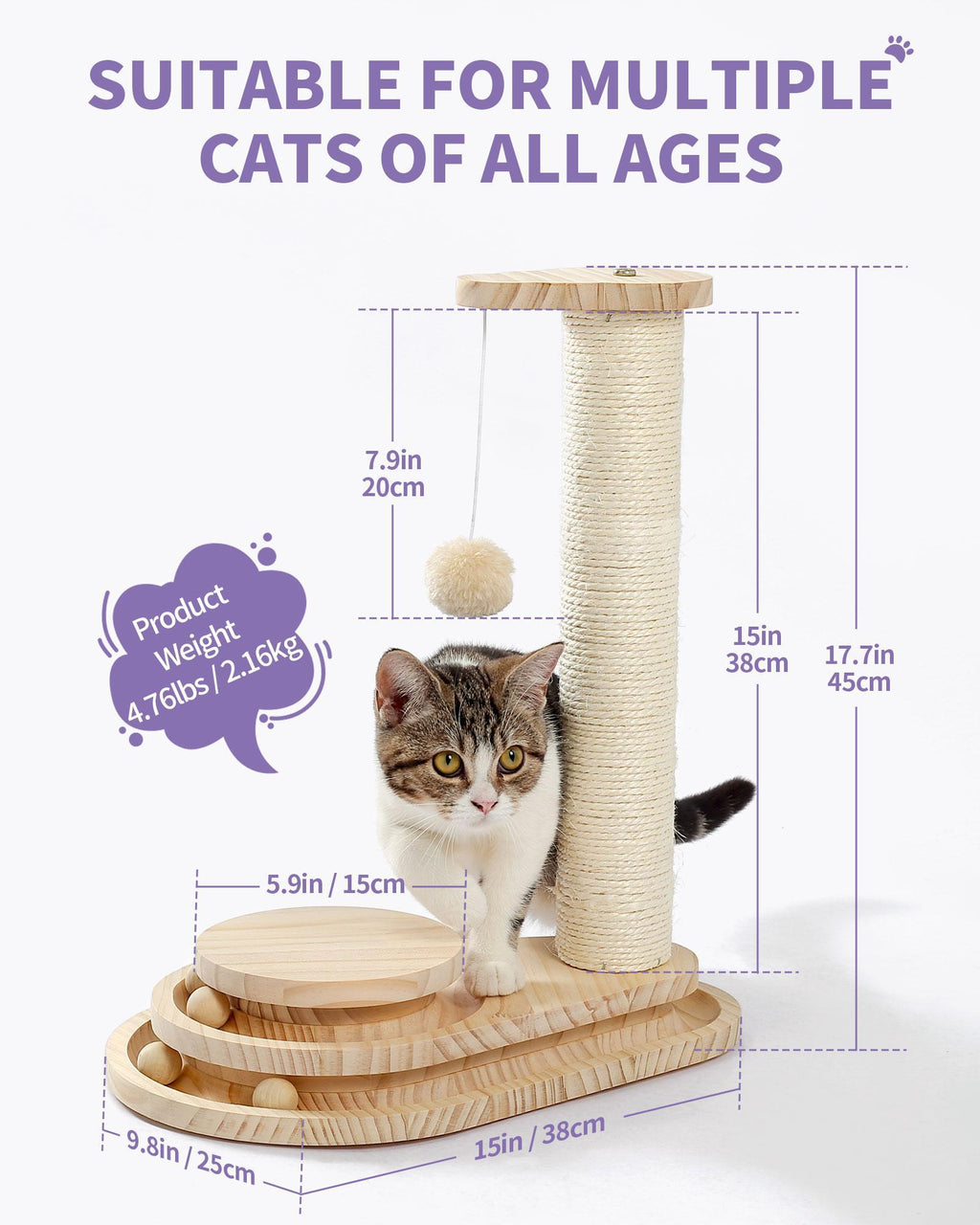 Indoor cat resting on scratching board toy size