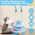Top view of cat ball puzzle toy with visible paths